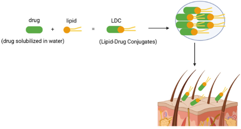 Schematic representation of the lipid-drug conjugates mechanism of action [own drawing].