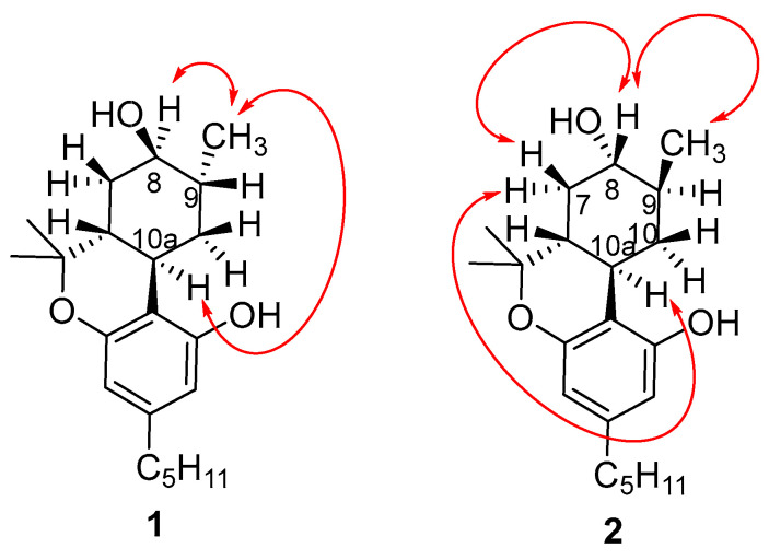 Key correlations of NOESY spectrum of (8R)OH-(6aR,9R,10aR)-HHC (1) and (8S)OH-(6aR,9S,10aR)-HHC (2).