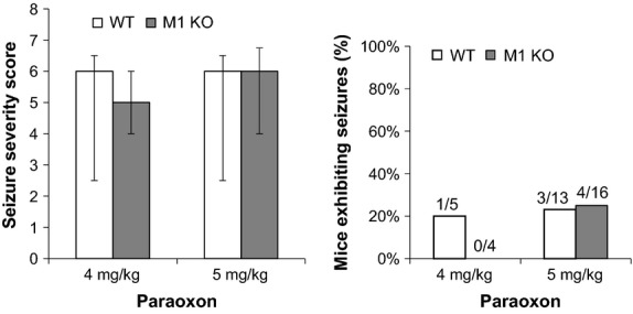 Paraoxon induces seizures to a similar degree in WT and M1 KO mice. Seizure severity scores and the proportion of mice having at least one clonic–tonic seizure after 5 mg/kg paraoxon administration was compared in male WT (n = 13) and M1 KO mice (n = 16). Data are presented as medians ± upper and lower quartiles.