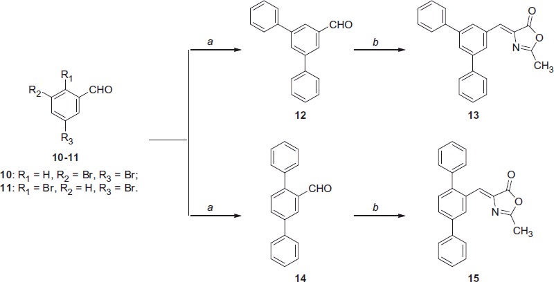 Reagents and conditions: (a) phenylboronic acid, Pd(OAc)2, PPh3, aq. 2 M Na2CO3, toluene, EtOH, 100 °C; (b) N-acetylglycine, Ac2O, CH3COONa, reflux.