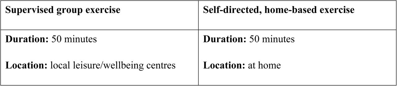 A summary of dual-task training programme.