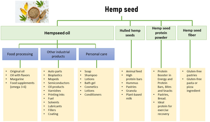 Uses and applications of hemp seed in different sectors (Modified from: New Frontier Data).