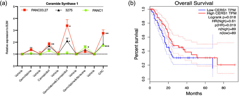 Ceramide Synthase isoform 1 is upregulated by cannabidiol in pancreatic cancer. (a) Summary plot of mean and error with SD of CerS1 fold changes across all treatment groups of concentraions reflected in table 1’s ic50 values at 48 h, comparing human Panc03.27, Panc1 and murine-3275 cells. The subsequent statements indicate greatest to lowest significance of CerS1 upregulation with gemcitabine, abraxane and CBD (GAC) treatment in Panc03.27 cells followed by CBD treatment, then combination of gemcitabine and CBD (GC) and finally gemcitabine single treatment. In Panc1 cells, GAC treatment followed CBD single treatment and finally gemcitabine and abraxane (GA). Murine 3275 cells showed signficance in CerS1 upregulation in GC combination treatment only in comparison to control. (b) Using publicly available RNA sequencing data (GSEA, gene set enrichment analysis) of PDAC tumours versus normal, a Kaplan-Meier curve indicates higher CERS1 correlates with better overall survival (OS) (HR: hazard ratio = 0.61, Logrank p = 0.018, p = 0.019). Gem = gemcitabine, Abx = abraxane, CBD = cannabidiol