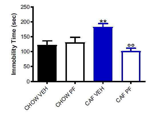 Results of forced swimming test. The graph shows the immobility time in seconds. Values are expressed as MEAN ± SEM. The picture shows the Tuckey post-hoc test for between-group comparisons: **p < 0.01 vs. CHOW VEH rats; °°p < 0.01 vs. CAF VEH.