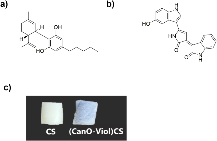 Fig. 1