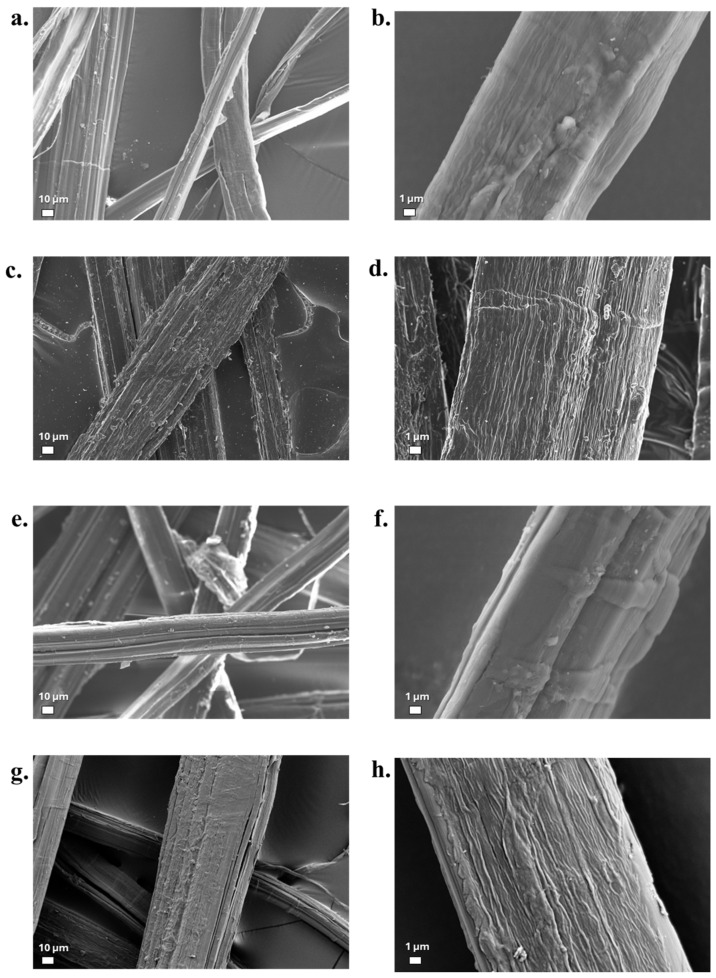 SEM morphological observations for different untreated and treated hemp fibres: (a,b) HNT, (c,d) HT-MIN, (e,f) HT-MED, (g,h) HT-MAX.