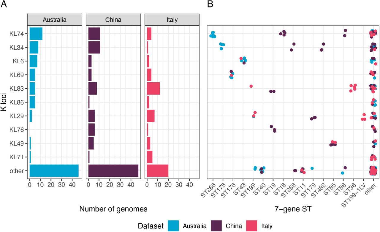 K locus frequencies among clinical Klebsiella oxytoca Species Complex isolate collections and associations with 7-gene multi-locus sequence types.Isolate genomes were sourced from three published studies from Australia (n=92) [2], China (n=102) [61] and Italy (n=61) [3]. A) Frequencies of K loci represented by ≥5 genomes in at least one dataset (remaining loci grouped as ‘other’). B) Sequence types (STs) associated with each K locus, coloured by dataset as indicated in legend. STs represented by ≥3 genomes in at least one dataset are individually labelled (remaining STs grouped as ‘other’).