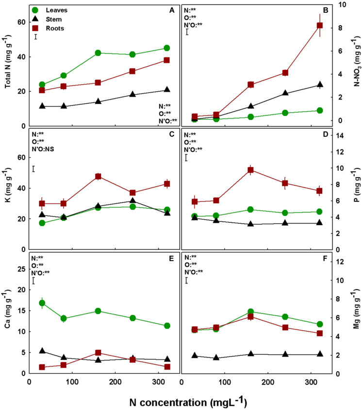 Effect of N supply on macronutrient concentrations in leaves, stem and roots of medical cannabis plants. Total N (A), N-NO3 (B), K (C), P (D), Ca (E), and Mg (F). Presented data are averages ± SE (n = 5). Results of two-way ANOVA indicated as **P < 0.05, F-test; NS, not significant P > 0.05, F-test. The bars represent the LSD between means at P ≤ 0.05. In the ANOVA results, N’O represents the interaction between N and plant organ. Where not seen, SEs are smaller than the symbol size.