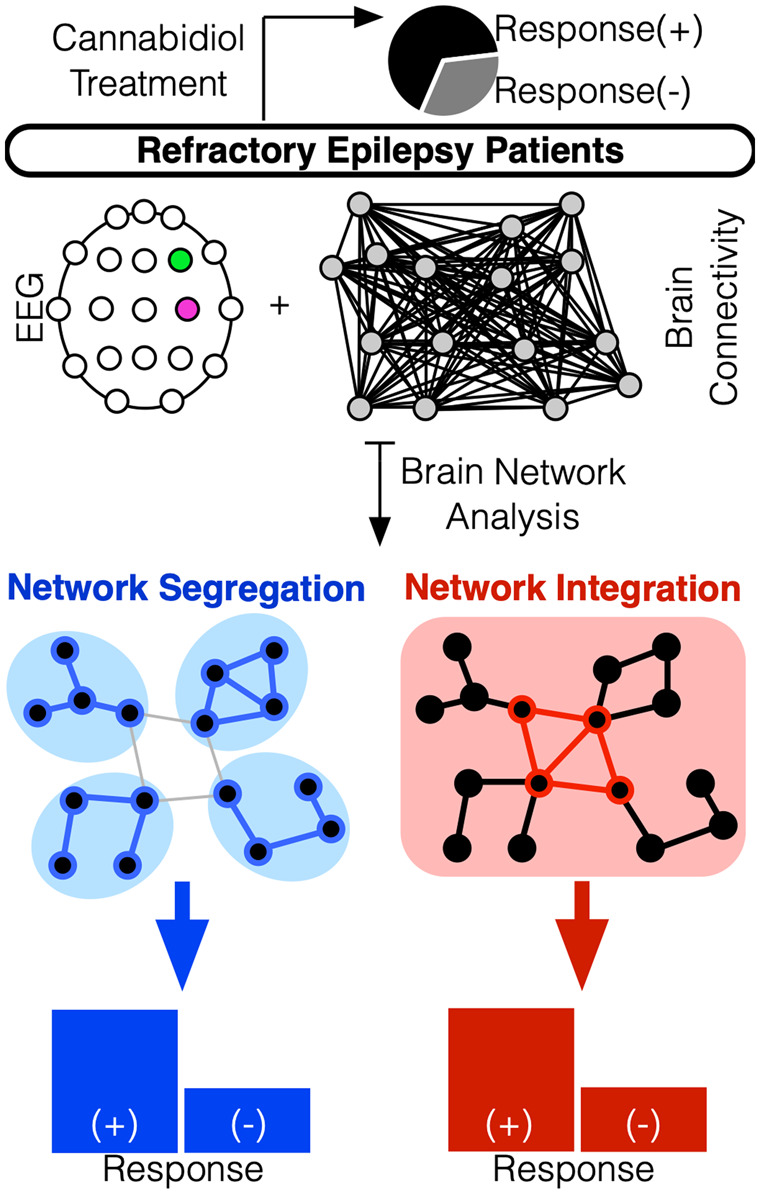 Graphical Abstract