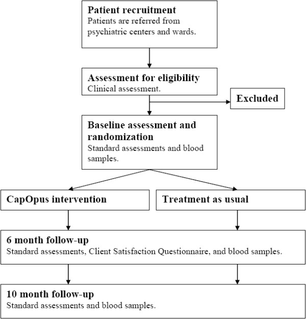 Flowchart of the CapOpus trial. See text for further information.