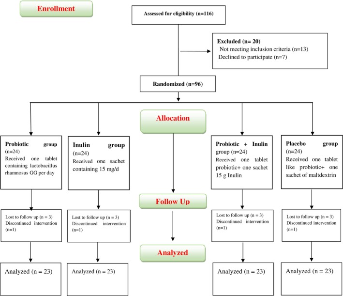 Flow chart of participants screened, enrolled, allocated, and included in the analysis. Ninety‐six participants completed the intervention and were included in the analysis.