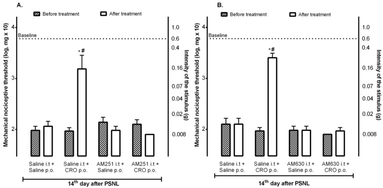 Participation of central cannabinoid receptors in the analgesic effect of crotalphine. On the 14th day after the partial sciatic nerve injury (PSNL) surgery, 10 min before crotalphine (CRO), mice were treated (i.t.) with AM251 (10 μg/10 µL) (A) or AM630 (2 μg/10 µL) (B), following the CRO (100 μg/kg, p.o.). The nociceptive threshold was evaluated using von Frey filaments one hour after CRO treatment. The results are expressed by the mean of (± EPM). n = 6. * p < 0.05 statistically significant when compared to the PSNL + Saline p.o. or PSNL + Saline i.t. + Saline p.o; # PSNL + AM251 or AM630 i.t. + CRO p.o. before and after treatment. The two-way ANOVA test was used followed by the Sidak test.