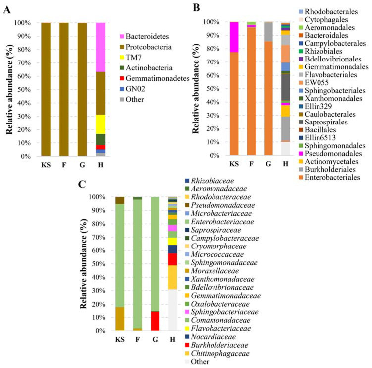 The composition of bacterial communities in different materials. KS—hemp shives as a raw material for biocomposites; F, G, H—hemp-based composites, where F is with Flovan additives, G with EG, and H is without additives. Relative bacterial abundance classified at phylum (A), order (B), and family (C) levels.