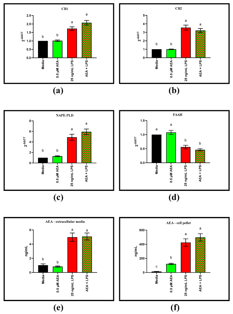 Gene expression via RT-qPCR of endocannabinoid receptors and arachidonoylethanolamide (AEA) associated genes in bovine aortic endothelial cells (BAEC) (N = 6). Extracellular and cellular AEA concentrations quantified via LC/MS. All results were recorded 8 h following lipopolysaccharide (LPS) challenge and/or 05. µM AEA: (a) gene expression of cannabinoid receptor-1 (CB1); (b) gene expression of CB2; (c) gene expression of N-acyl phosphatidylethanolamine phospholipase D (NAPE-PLD); (d) gene expression of fatty acid amide hydrolase (FAAH); (e) extracellular media concentration of AEA; (f) cell pellet concentration of AEA. Statistical analysis: one-way ANOVA, Tukey’s adjustment. a–c: Means with different superscripts are different (p < 0.05).