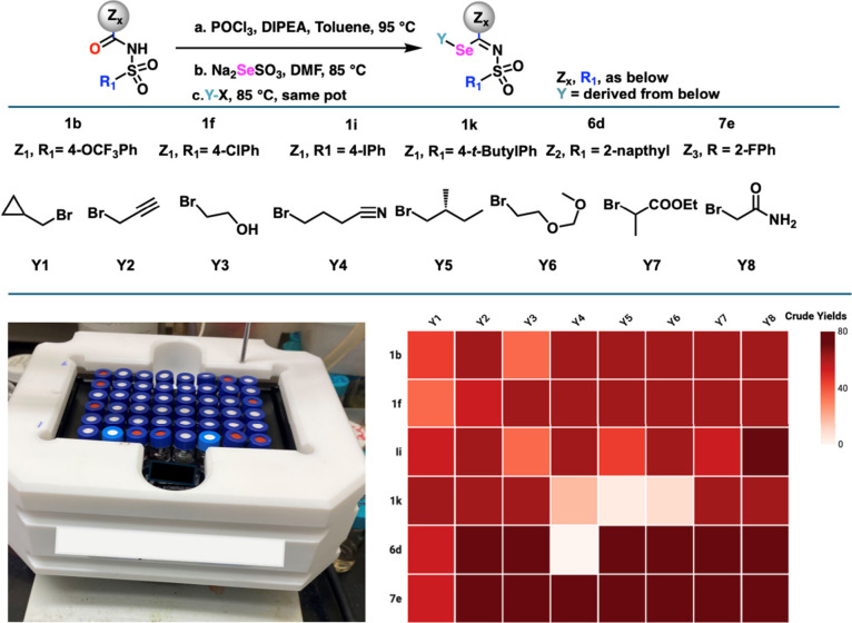 Screening of selenoalkylation substrates in a combinatorial synthesis library format. Image generated partly using https://BioRender.com (2026).