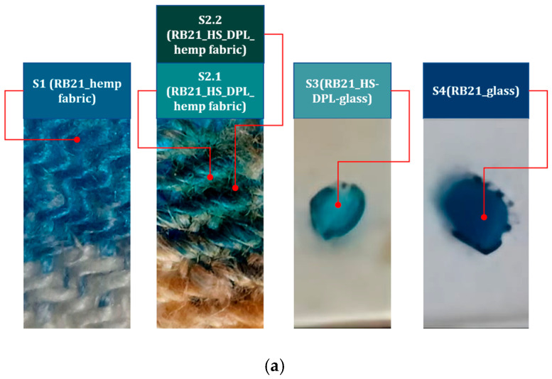 (a) The images with the coloristic test; (b) The RBG graphic of the colorimetric measurements on the control sample S1 RB21-hemp fabric and on the thin film sample (RB21-HS-DPL/hemp fabric on different areas S2.1. and S2.2) and on the thin film sample on glass S3 (RB21-HS-DPL-glass) compared to the control sample S4 RB21-glass (c).