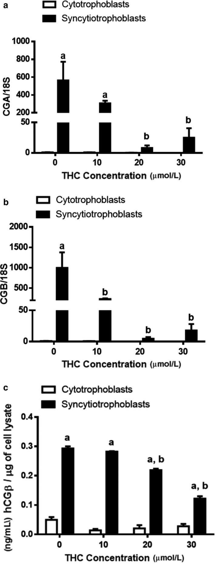 mRNA expression of CG subunits and secretion of hCGβ is significantly decreased by THC exposure. Summary histograms of relative CGA (a) and CGB (b) are shown. (c) Media were collected 48 hr after the administration of THC. The concentration of hCGβ was normalized to total cell lysate in each well. Significant differences were determined by a two‐way ANOVA, followed by a Bonferroni post hoc test. Data are presented as means ± SEM (n = 3). Different letters denote significant differences compared to the cytotrophoblast (a) or syncytiotrophoblast (b) vehicle controls. p < .01 (a, b); p < .0001 (c)