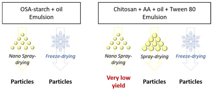 Overview of the techniques to prepare particles.