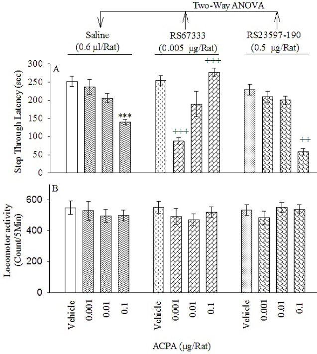 Effects of post-training intra-PL microinjections of ACPA on IA memory consolidation (panel A) and locomotor activity (panel B) in the presence and absence of RS67333 (0.005 μg/rat) or RS23597-190 (0.5 μg/rat). Three four-group sets of rats were utilized. Rats were injected with saline (0.6 μl/rat), the subthreshold dose of RS67333 (0.005 μg/rat) or RS23597-190 (0.5 μg/rat) plus vehicle or ACPA at different doses (0.001, 0.01, or 0.1 μg/rat). Step through latency (STL) and locomotor activity were evaluated in all groups, after 24 hr. Each column shows mean±SEM. ***P<0.001, different from vehicle/saline group. ++P<0.01 and +++P<0.001 different from respective ACPA/saline groups
