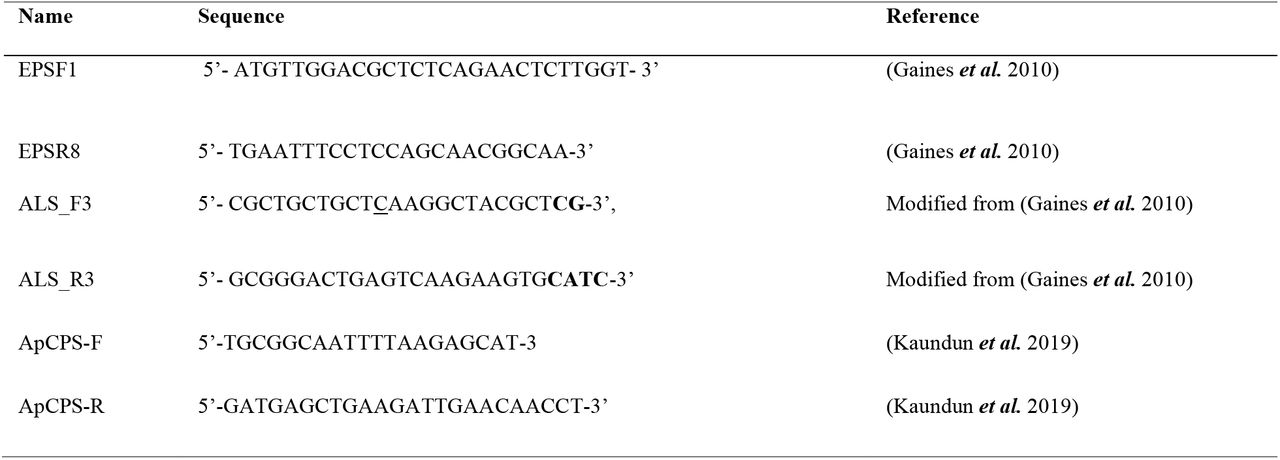 Primer sequences for qPCR.