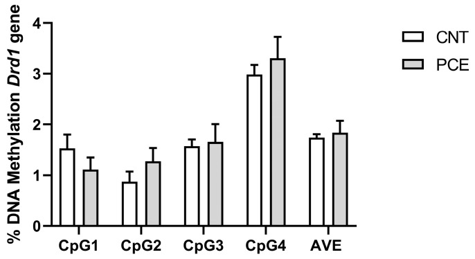 Comparison of DNA methylation status at rat Drd1 gene in the PFC of prenatal cannabis-exposed (PCE) and control (CNT) rats. DNA methylation data are presented as the mean ± SEM of the methylation % values of individual CpG sites under study as well as of the average (AVE) of the four CpG sites (n = 15–14 rats/group).