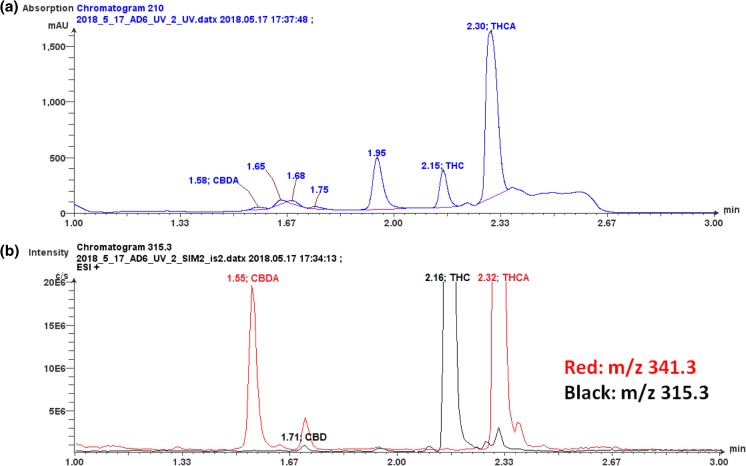 (a) LC/UV chromatogram of a cannabis extract showing expected abundant peaks for THC and THCA but other unknown chromatographic components which can interfere with the assessment of the quantity of other lower level cannabinoids. The multiple low-level peaks in the 1.4–1.9 min retention time region make it difficult to selectively quantitate cannabinoids which elute in this region. (b) LC SIM/MS analysis of the same extract shown in (a) where the protonated molecules for the targeted cannabinoids, CBDA, and CBD along with THC and THCA were monitored. Note: The Y-axis of (b) has been amplified by × 10 in order to clearly show the presence of the lower levels observed for CBDA and CBD. This naturally amplifies the THC and THCA peaks off scale as observed in (b) but clearly shows the presence of CBDA and CBD which were obscured in (a). The separation was achieved using an Agilent Eclipse Plus RRHD C18 (50 × 2.1 mm, 1.8 μm), mobile phase consisted of 0.1% formic acid in water and 0.1% formic acid in acetonitrile. The LC/UV chromatogram (A) was obtained at a wavelength of 210 nm and the LC/MS chromatogram (b) was collected using a single quadrupole mass spectrometer (Advion, Inc., Ithaca, NY) equipped with electrospray ionization under positive selected ion monitoring conditions