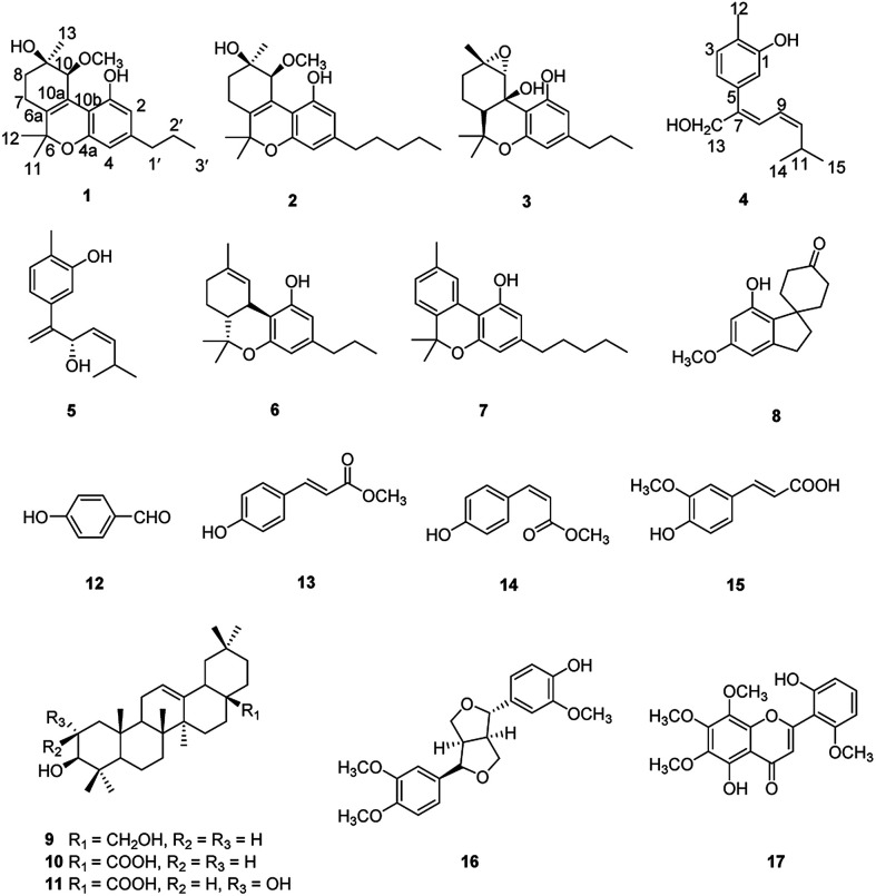 Structures of the isolated compounds 1–17.