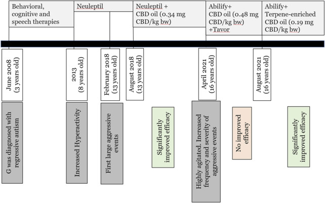 Timeline. White bars represent important timepoints along G’s development. Dark gray bars represent triggering event. Light gray horizonal bars represent given treatment. Light green/orange bars represent efficacy. Time scale is not linear.