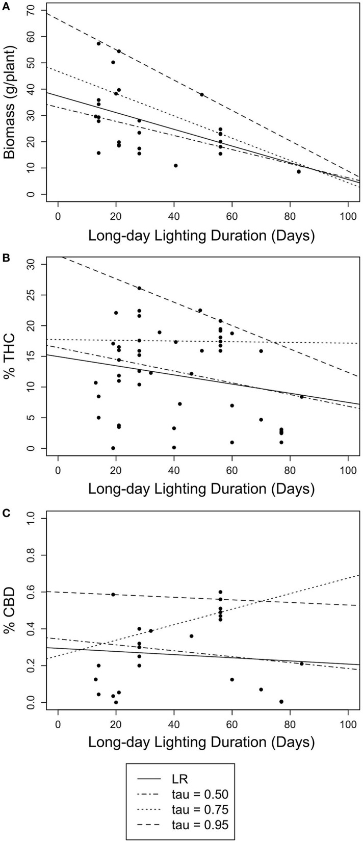 Scatter plots of linear quantile regression results for long and short daylength durations (days) with floral biomass (g/plant) and cannabinoid concentration (% THC and % CBD). Lines represent simple linear regression (LR) (solid) and 50th (dotted-dashed), 75th (dotted), and 95th (dashed) linear quantile regressions. (A) The relationship between long daylength duration and floral biomass (g/plant). (B) The relationship between long daylength duration and THC concentration (% THC). (C) The relationship between long daylength duration and CBD concentration (% CBD).