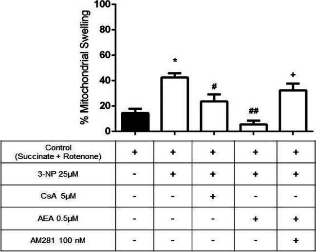 Effect of AEA on mitochondrial swelling induced by 3-NP. Bars represent mean values ± SEM of n = 7 independent experiments. *p ≤ 0.001, different of the control; #p ≤ 0.05 and ##p ≤ 0.0001, different from 3-NP; +p ≤ 0.001, different from AEA + 3-NP. One-way ANOVA followed by Tukey’s test