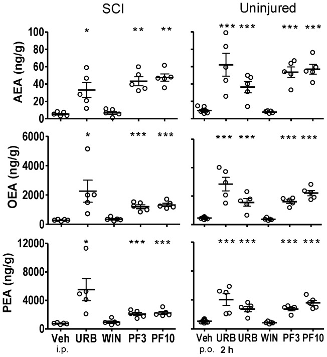 Fatty acid amide concentrations in thoracic spinal cord segments caudal to the spinal injury from SCI rats or comparable spinal cord segments from uninjured rats following treatment with FAAH inhibitors, WIN 55,212-2 and vehicle.Rats were treated with either URB597 (URB; 3 mg/kg, i.p.), WIN 55,212-2 (WIN; 3 mg/kg, s.c.) or vehicle (Veh; 1 ml/kg, i.p.) for seven days and euthanized four hours following the last treatment. One group of uninjured rats was treated once with URB597 and euthanized two hours (2 h) following treatment. Rats that received PF-3845 (PF3, PF10) were treated once (3, 10 mg/kg, p.o.) and euthanized four hours following dosing. Levels of AEA, OEA and PEA from each rat are shown, the dark horizontal line is the mean and the light horizontal lines are the S.E.M. n = 4–10/group. * p<0.05, **p<0.01, ***p<0.001 vs. vehicle (Student's t-test).