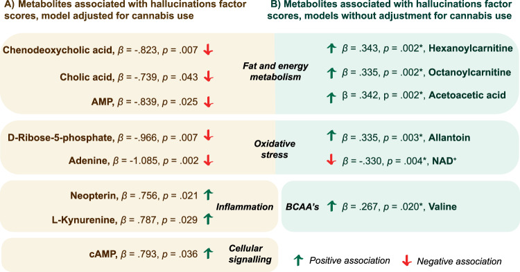 The statistically relevant findings from linear models of hallucination factor scores.Illustration of the results not observed in other models except for when cannabis use was adjusted for (A) and of the results observed in five models but not in M4 adjusted for cannabis use (B). AMP adenosine monophosphate, cAMP cyclic AMP, BCAA branched-chain amino acid. The associations that were the most significant are presented, if found in multiple models (*).