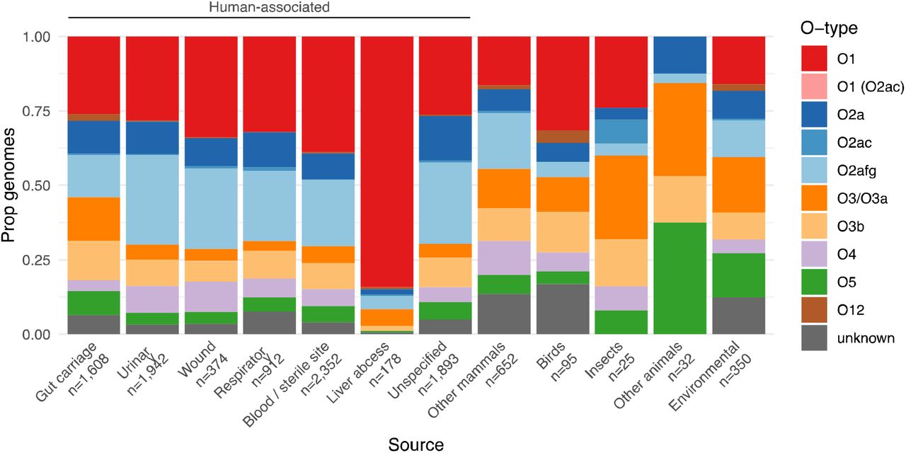 Distribution of predicted O types by isolate source.Bars show the proportion of isolates for each of 12 selected sources of interest that were predicted to encode each O antigen (as indicated in the legend). The total number of isolates representing each source are indicated below the x-axis.