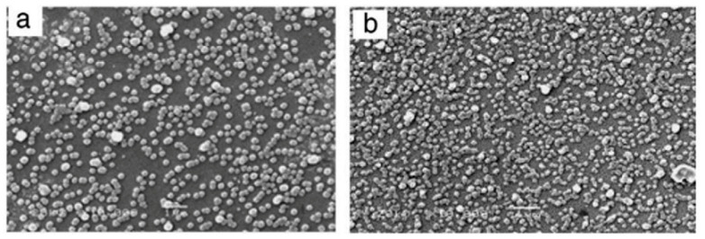 SEM images of (a) deposited and (b) annealed CBD-ZnS thin films. Reproduced with permission from Surface & Coatings Technology 2013, 228, 146–149. Copyright © 2013, Elsevier [101].