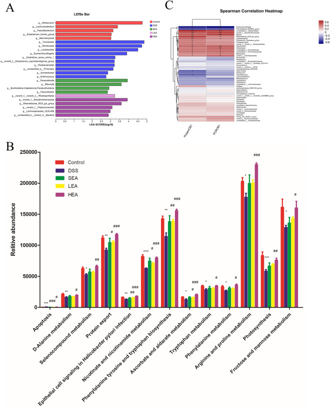 EA altered the composition and function of the gut microbiota. A LDA value distribution diagram among the groups. B KEGG metabolic pathway analysis among the groups. C The correlation heatmap of genera and the expression of CB1