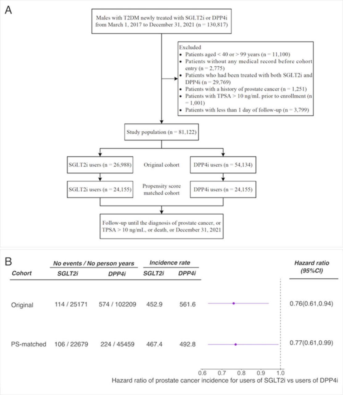 Flowchart of patient inclusion and association between use of sodium-glucose cotransporter 2 (SGLT2) inhibitors and risk of incident prostate cancer or at high risk of prostate cancer.(A) flowchart of patient inclusion in the study population. SLGT2i=sodium glucose cotransporter 2 inhibitors; DPP4i=Dipeptidyl peptidase 4 inhibitors; TPSA=total prostate specific antigen. A patient could be excluded for more than one reason. (B) The association between use of SGLT2 inhibitors compared with DPP4 inhibitors and risk of prostate cancer or with total PSA > 10 ng/mL (which indicated high risk of prostate cancer). The covariates been used in this analysis including demographic data (age); comorbidities (benign prostatic hyperplasia, hypertension, dyslipidemia, diabetic complications, ischemic heart disease, peripheral vascular disease, heart failure, cerebrovascular disease, chronic lung disease, moderate or severe kidney disease, moderate or severe liver disease, and other cancers); antidiabetic drugs (metformin, insulin, glucagon-like peptide-1 receptor agonist, sulfonylurea, glinide, α-glucosidase inhibitor, and thiazolidinedione); and other medications (angiotensin converting enzyme inhibitor, angiotensin receptor blocker, calcium channel blocker, α/β- blockers, diuretic, statin, fibrate, aspirin, other antiplatelet drugs, non-steroidal anti-inflammatory drug, and 5α-reductase inhibitor). The unit of the incidence rate was 100,000 person years.