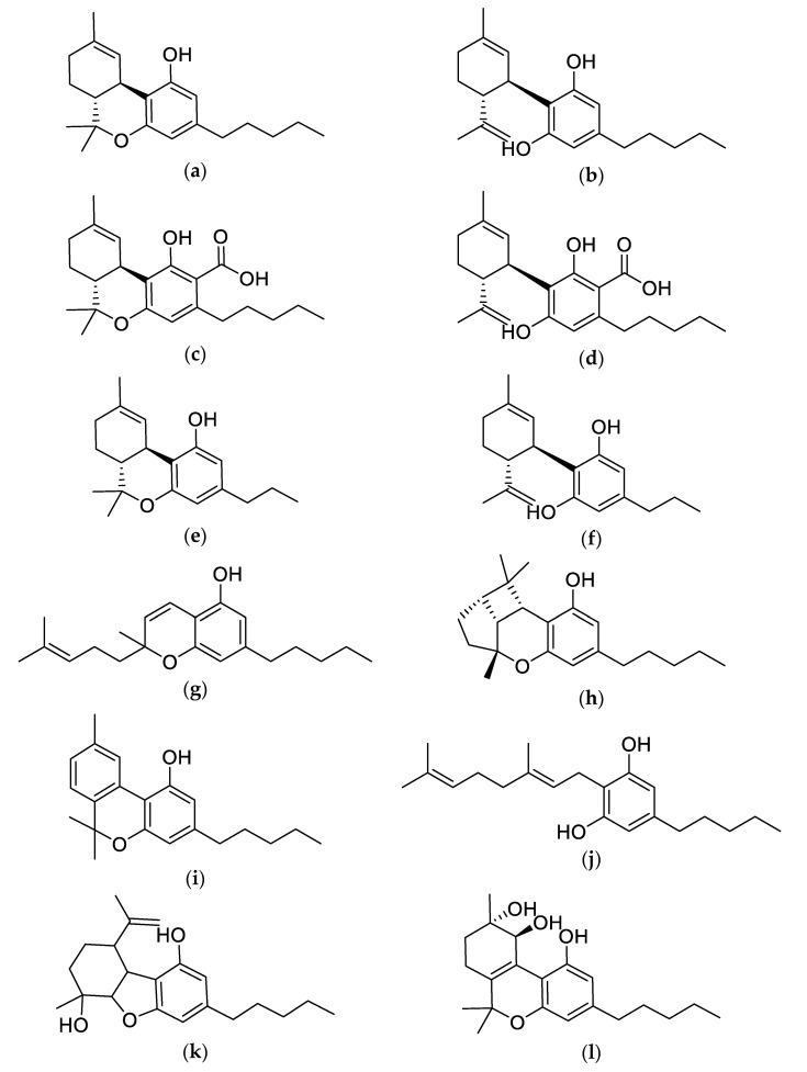Chemical structures of major phytocannabinoids. (a) Δ9-Tetrahydrocannabinol (Δ9-THC); (b) Cannabidiol (CBD); (c) Δ9-Tetrahydrocannabinolic Acid (Δ9-THCA); (d) Cannabidiolic Acid (CBDA); (e) Δ9-Tetrahydrocannabivarin (THCV); (f) Cannabidivarin (CBDV); (g) Cannabichromene (CBC); (h) Cannabicyclol (CBL); (i) Cannabinol (CBN); (j) Cannabigerol (CBG); (k) Cannabielsoin (CBE); (l) Cannabitriol (CBT).