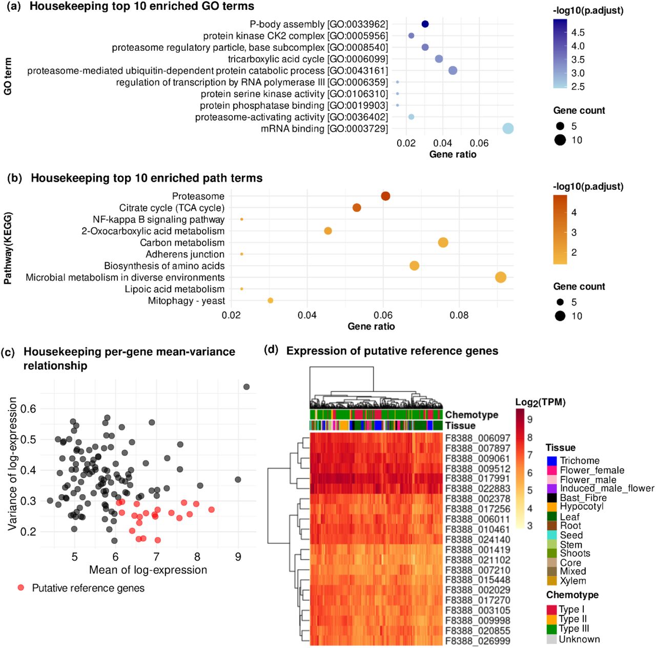 Comprehensive analysis of HK genes and proposed reference genes for qRT-PCR. (a) Gene ontology enrichment for HK genes, (b) metabolic pathway enrichment, (c) distribution of expression variance and selection of candidate reference genes, (d) expression patterns in CannAtlas samples.