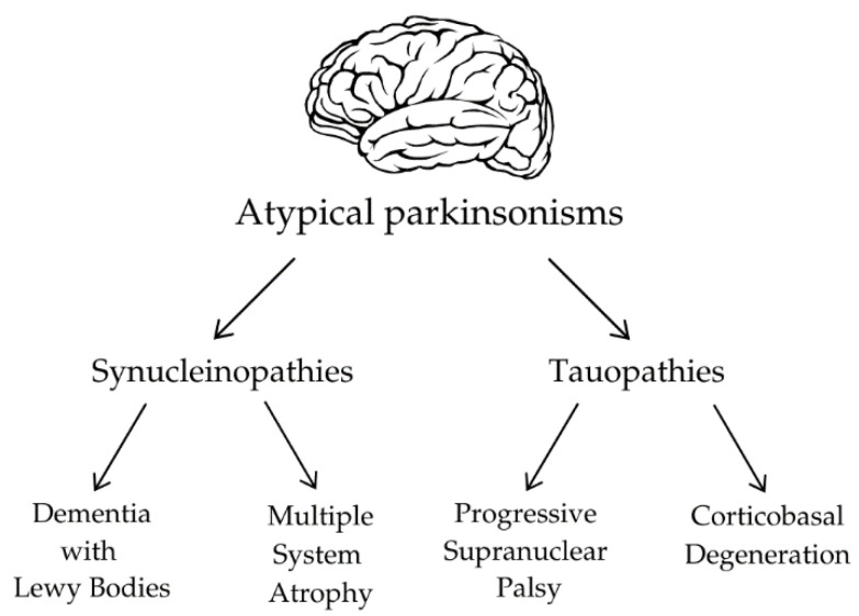 The classification of atypical parkinsonisms.