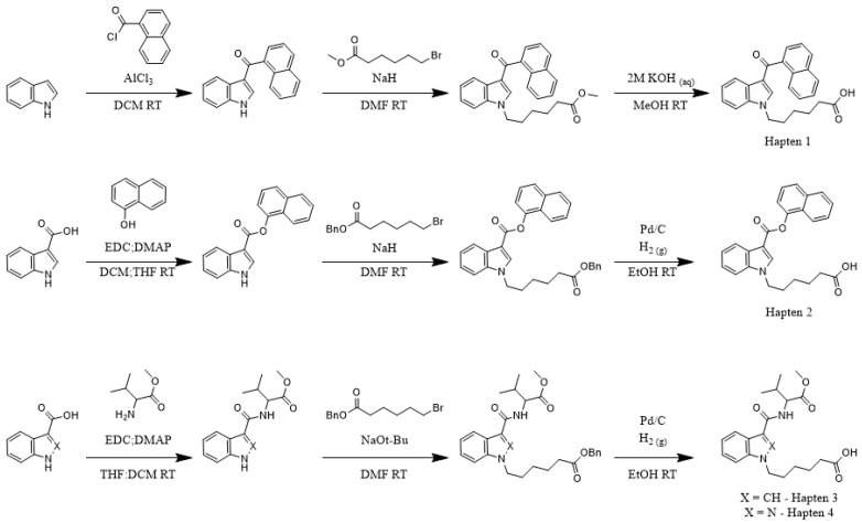 Syntheses of the four different haptens exploring differences within the head, linker and core subregions.