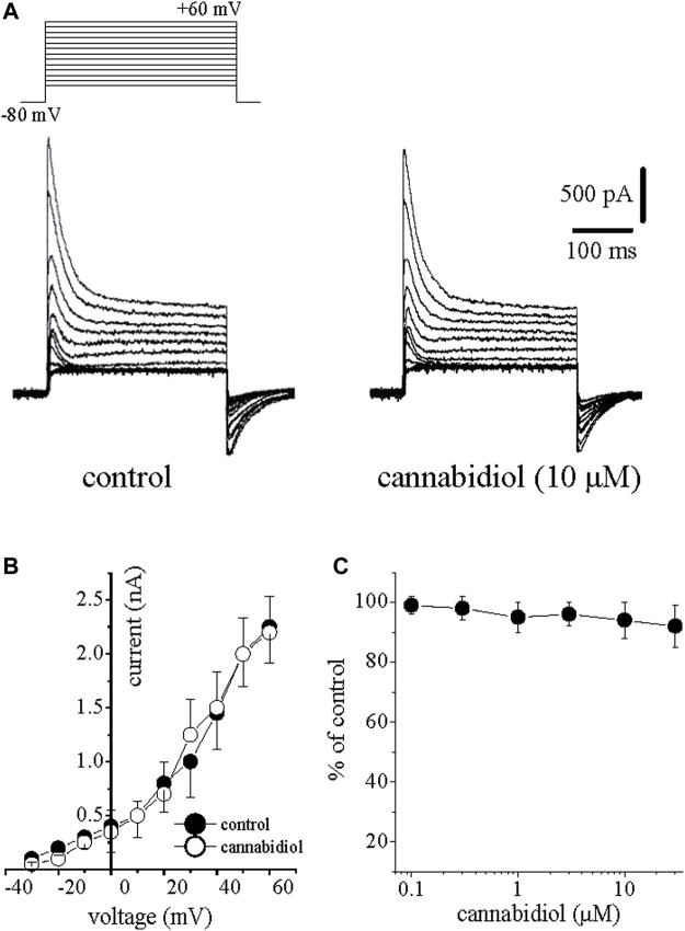 The effects of cannabidiol on the transient outward I to in rabbit ventricular myocytes (A) Original traces of I to obtained in response to incremental depolarizations from a holding potential of −80 mV up to +60 mV are presented in controls (on the left) and after 10 min exposure to 10 μM CBD. The pulse protocol to activate I to is presented in the inset (B) Averages of current-voltage relation of I to in the absence (filled circles) and presence of CBD (open circles) are presented (n = 6) (C) The effect of increasing CBD concentrations on I to (n = 4–6).