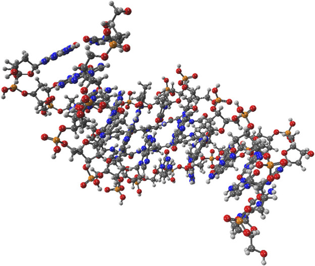 Molecular structure of the protonated Cyclic Polyamide-DNA Complex.