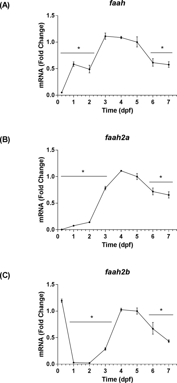 Temporal expression patterns of eCB catabolic enzyme genes.The time points on all graphs are represented as means ± 95% CI (0.25–1 dpf: 20 larvae/n, n = 3; 2–7 dpf: 10 larvae/n, n = 3). * Indicates that a group is significantly different from the 5 dpf group (Sidak's multiple comparisons test, P < 0.05). (A) The fold change of faah transcript levels relative to 5 dpf as determined by qRT-PCR. (B) The fold change of faah2a transcript levels relative to 5 dpf as determined by qRT-PCR. (C) The fold change of faah2b transcript levels relative to 5 dpf as determined by qRT-PCR.