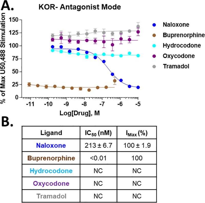 Selected opioid compounds tested as KOR antagonists.Selected clinical opioids and a naloxone positive control were tested as antagonists vs. 100 nM U50,488 at the KOR using 35S-GTPγS coupling. A) The data was normalized to the stimulation caused by 100 nM U50,488 (100%) or vehicle (0%) and reported as the mean ± SEM of N = 3 independent experiments. B) The resulting potency (IC50) and efficacy (IMAX) values are reported as the mean ± SEM. The IMAX is normalized to the inhibition caused by the positive control naloxone (100%). Buprenorphine shows high efficacy and very high potency KOR antagonist activity, but the other clinical opioids show no evidence of antagonist activity.