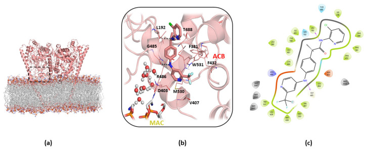 Details of cluster b0 of the A2db1 binding mode of TPA14 in monomer B of mFAAH after 150 ns of MDs. (a) Global overview of the TPA14 binding site, indicated by the black dashed rectangle. (b) Zoom view of TPA14 (pink stick) cluster b0 of the A2db1 binding mode and its interactions with the surrounding key residues. (c) TPA14 2D interaction diagram obtained with Maestro GUI. The magenta arrow indicates the H-bond interactions.