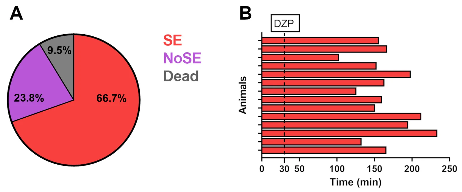 Development of lithium-pilocarpine model. (A) Pie chart showing the evolution of animals treated with lithium-pilocarpine (n = 21). (B) Individual responses of animals that developed SE. Each bar represents the time at which the animals stopped showing seizures as a result of the administration of a dose of diazepam (dotted line).