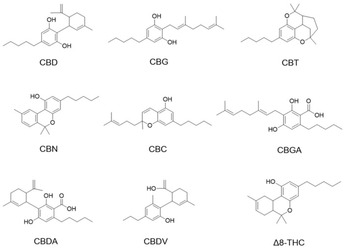 Chemical structures of phytocannabinoids were evaluated in this study.