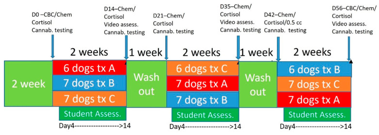Timeline for treatment and procedures during the trial and treatment groups. Treatment A was 2 mg/kg BID, Treatment B was placebo, Treatment C was 4 mg/kg.