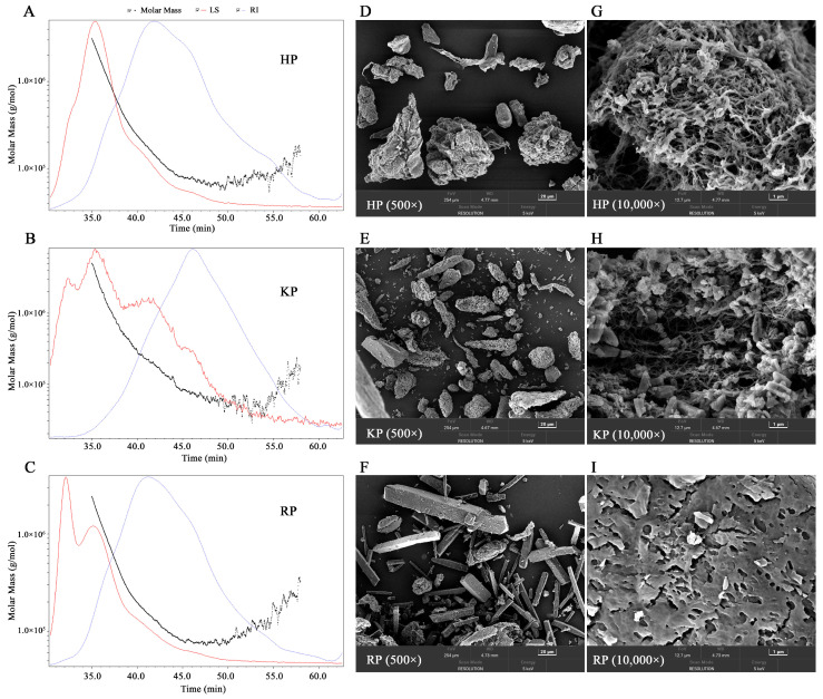 Chromatograms of the molar mass distribution (A–C) and scanning electron microscope (SEM) spectrum (D–I) of pectic polysaccharides from bast fibers of hemp (HP), kenaf (KP), and ramie (RP). For molar mass distribution analysis, the light scattering (LS) and refractive index (RI) signals are detected. For SEM analysis, images with magnification ratios of 500 and 10,000 times are shown.