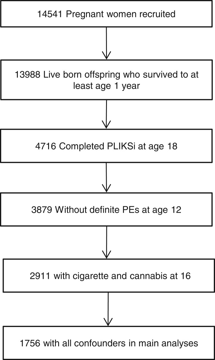Study participant flow diagram.